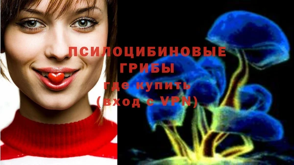 прущие грибы Володарск
