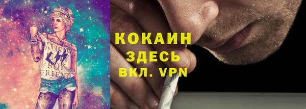 прущие грибы Володарск