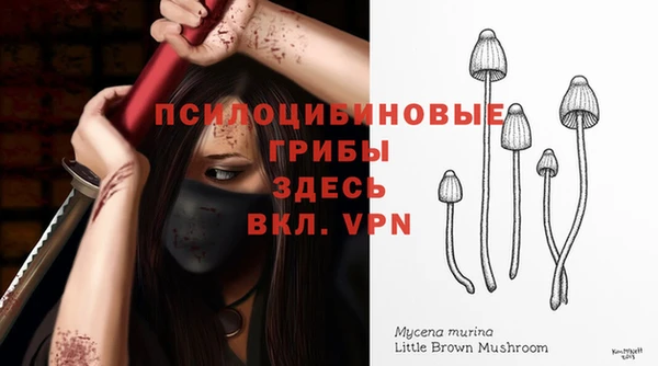 стаф Волоколамск