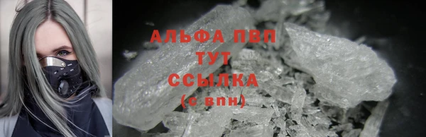 стаф Волоколамск
