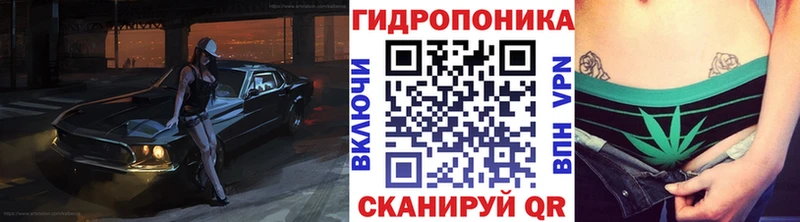 Бошки Шишки Amnesia  Купить закладки  Кудрово 